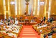 Defiling Minor Attracts Life Imprisonment-Nigerian Senate