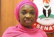 Soludo’s Aide to Ekwunife: Release Your Academic Records